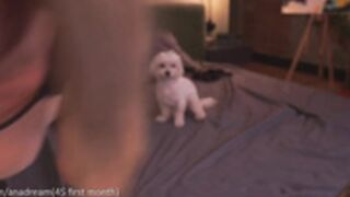 MFC/CB - Dreamana 300