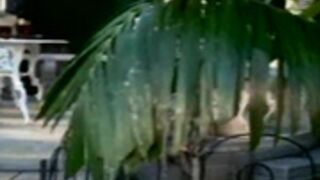 Shannon Stewart POM June 2000