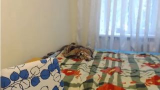 sky lady for G. Remly