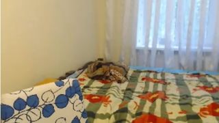 sky lady for G. Remly