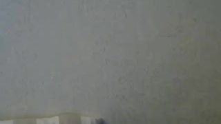 CB_tinyeve_April-23-2017_16-09-45