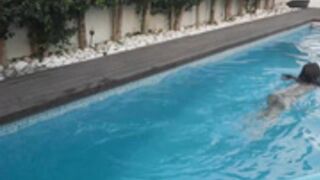 bonus 2023_08_24 - 2