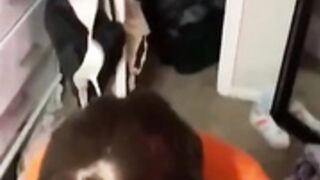 Velma POV Blowjob