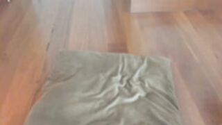 AdaraBunny rub pussy