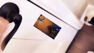 ɱ@ԀÏ$$ōņ Ïʌϒ ōᶂ 129