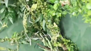 ɱ@ԀÏ$$ōņ Ïʌϒ ōᶂ 128