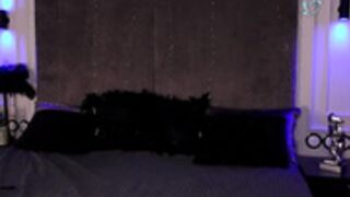 miladenver get 10000 token for anal destroy