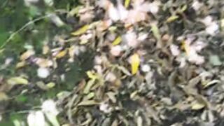 Nalgonasex_ public topless in park