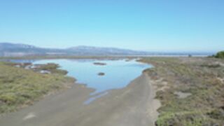Noel Lauffenburger  l'étang en mode naturiste
