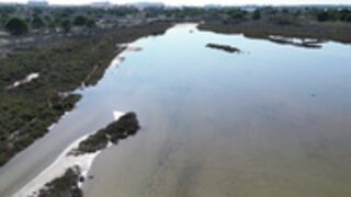 Noel Lauffenburger  l'étang en mode naturiste