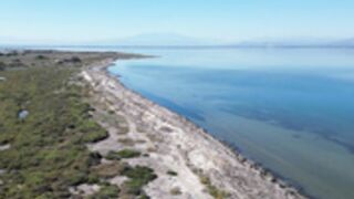 Noel Lauffenburger  l'étang en mode naturiste
