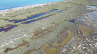 Noel Lauffenburger  l'étang en mode naturiste