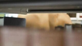 Creeping Around Naked In A Public Library