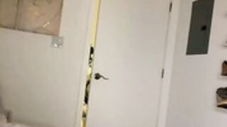 Amanda Trivizas live homemade sex