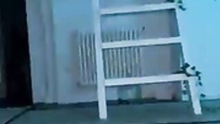 IMVIRGENMARIA FOLLANDO