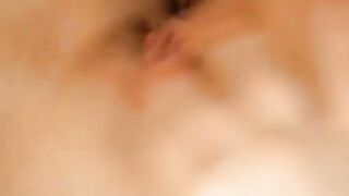 Norwegian Tilla bate