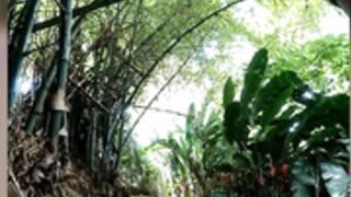 DIANITA_1988 flash tits random guy