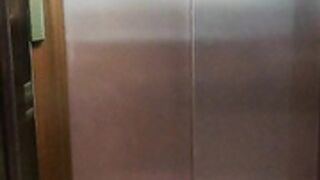 pamsnusnu nice elevator