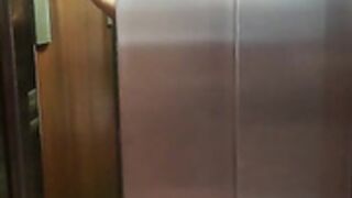 pamsnusnu nice elevator