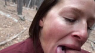 OF HEATHER HARMON HEATHER BROOKE 38