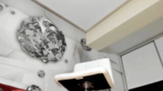 MiaCybella (seethrough dress)