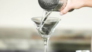 BabyG Stefanie Knight Premium 18