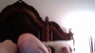 Dawn Avril 23_Oct_2011_5