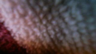 floret_777_130616_1433_myfreecams