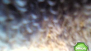 floret_777_270916_1223_myfreecams