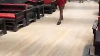 miss lolo short clip