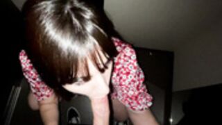 Pamsnusnu quickie in the elevator