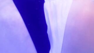 aerytiefling junko 1