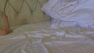 Arayah free cam recording 2015 July 09_07-52