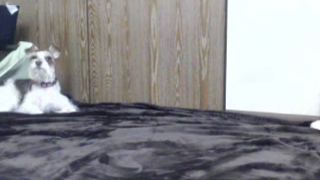 StarPowerrr free cam recording 2015 June 27_11-09