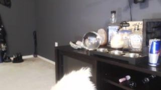 Evee__ free cam recording 2015 June 20_11-09