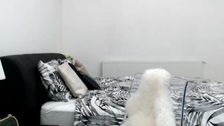 klss0f@c0br@ 21517 1