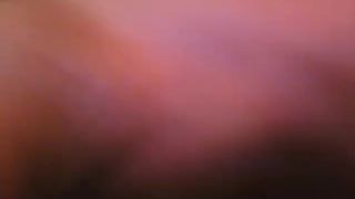 wl1dt3qul11@ 22517 3