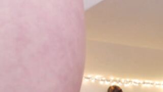 Taralanes 2023-01-09