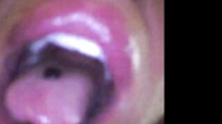 OF HEATHER HARMON HEATHER BROOKE 81 2