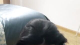 Awesome Ely Stepmom roleplay