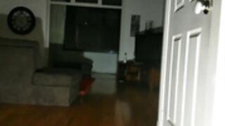 Wife pegging cuckold