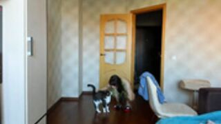 naughty_chill  230613  naked, sexy dance, plays pussy