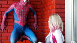 Sia siberia spider gwen