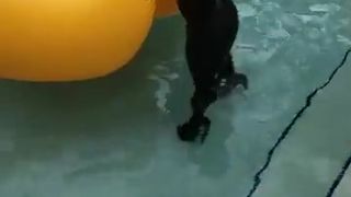 Carrie LaChance in black latex catsuit for a photoshoot