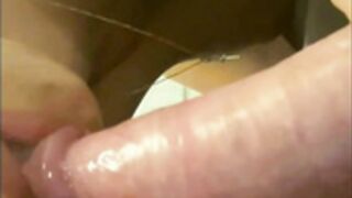 sofi novak sophie limma 3