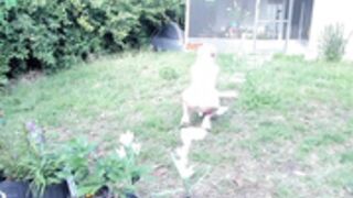 Salemhex-2021-04-23 (1)