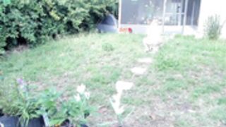Salemhex-2021-04-23 (1)