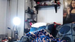 auroraxdragond 21-11-2023_1