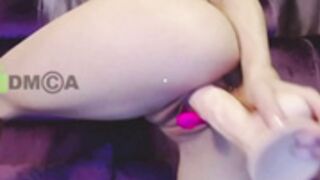 Looking For These Selti Vids