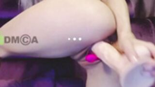 Looking For These Selti Vids